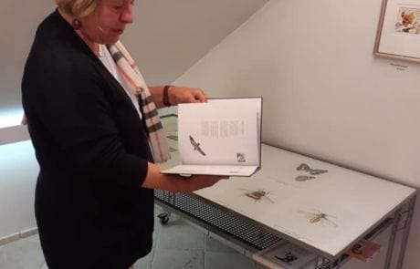 105312255_3074692972619860_1787067397068678260_n