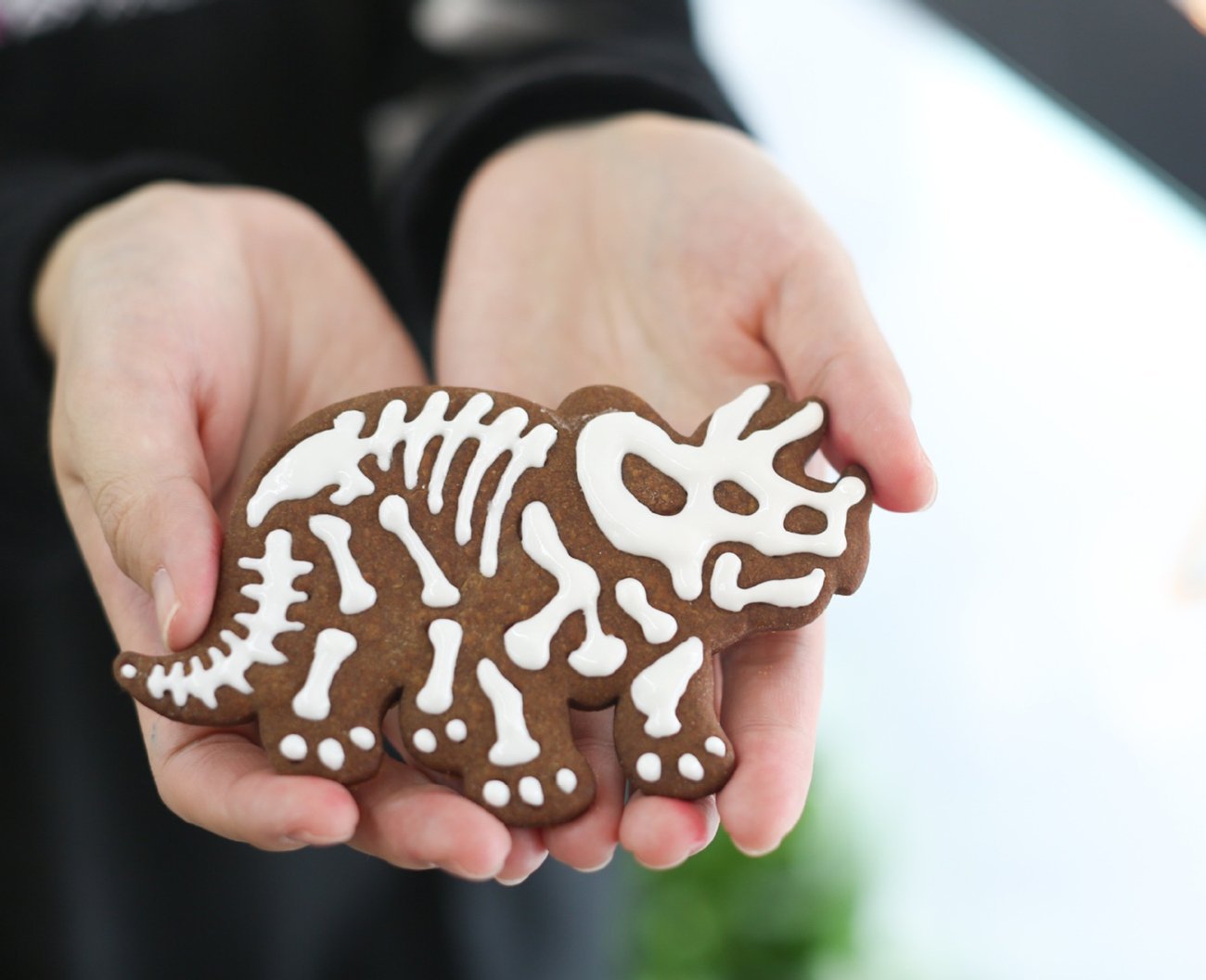 Wocuz 3 Dinosaur Bones Fossil Cookie Cutter/Stampers For Baby Shower Birthday Party N3 image in Electronics category at pixy.org