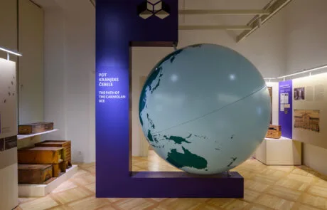 Razstava Živeti skupaj. O čebeli in človeku