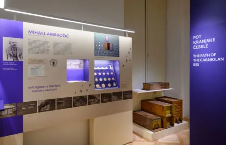 Razstava Živeti skupaj. O čebeli in človeku