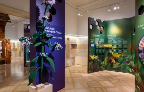 Razstava Živeti skupaj. O čebeli in človeku