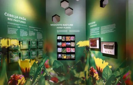 Razstava Živeti skupaj. O čebeli in človeku