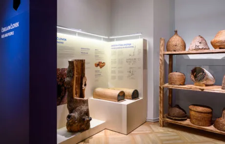 Razstava Živeti skupaj. O čebeli in človeku