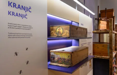 Razstava Živeti skupaj. O čebeli in človeku