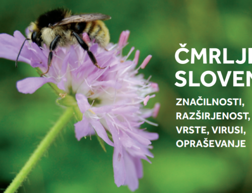 Predstavitev knjige Čmrlji v Sloveniji.  Značilnosti, razširjenost, vrste, virusi, opraševanje