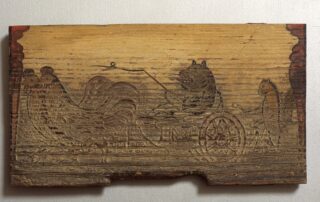 ČM 152 Petelina peljeta medveda