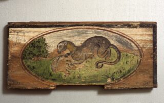 ČM 218 Dihur s ptico