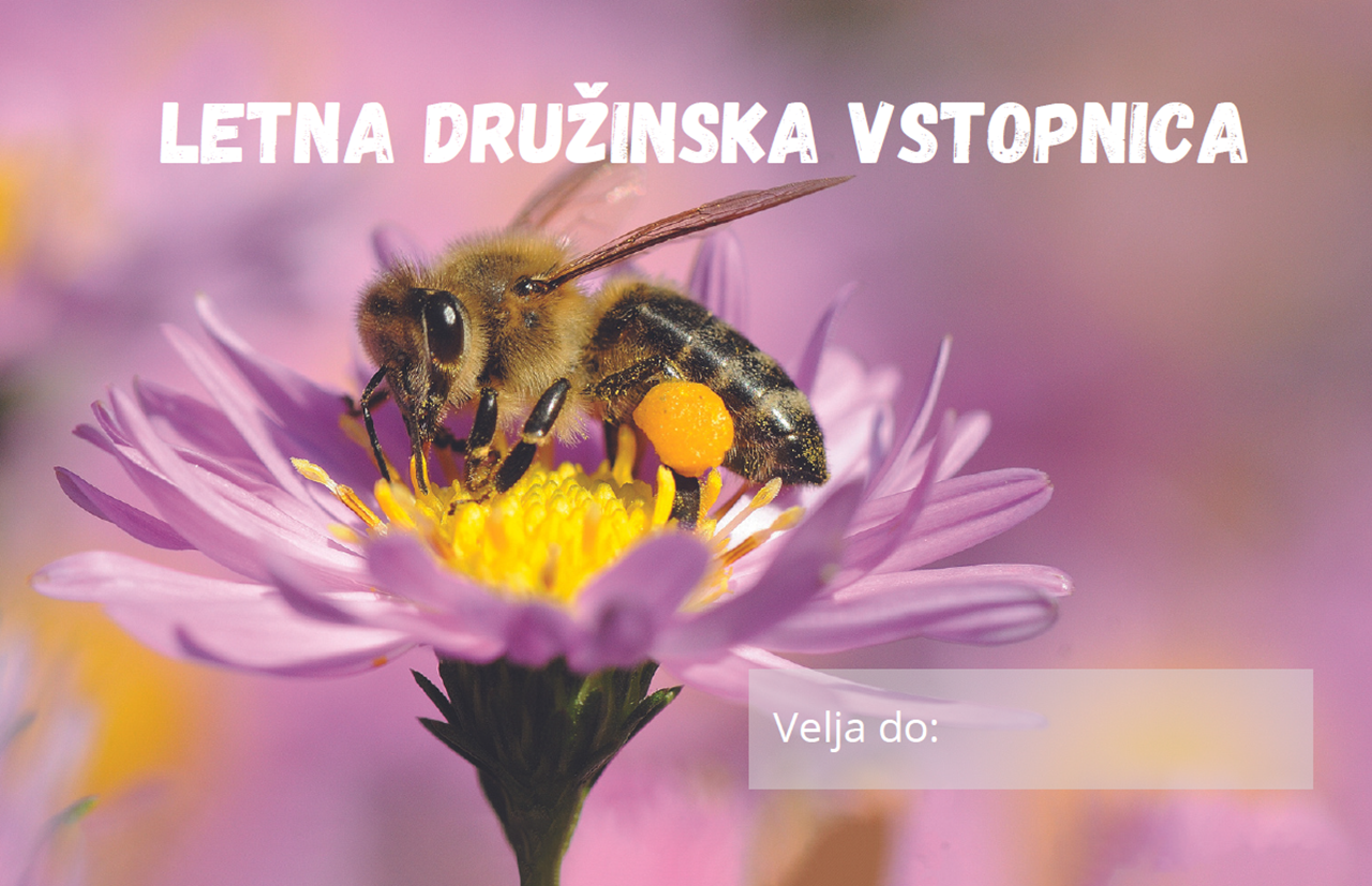 LETNA DRUŽINSKA VSTOPNICA
