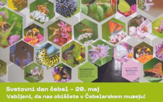 Svetovni dan čebel