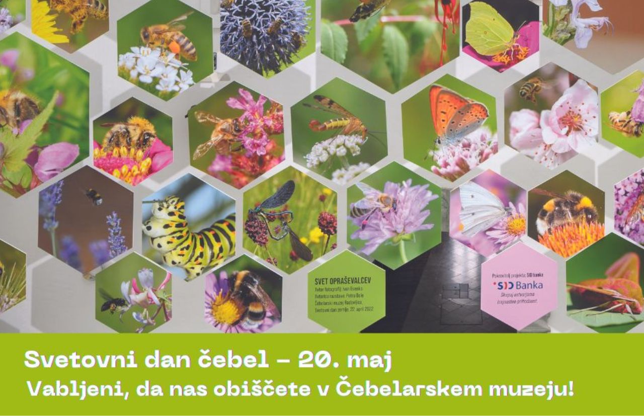Svetovni dan čebel