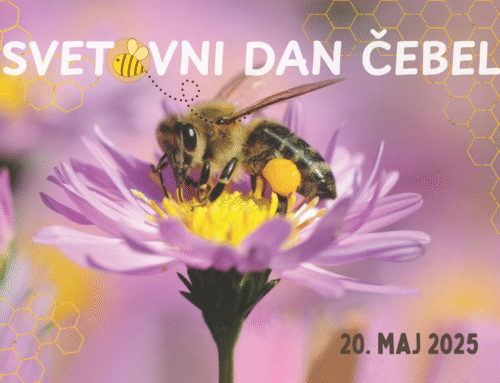 Svetovni dan čebel