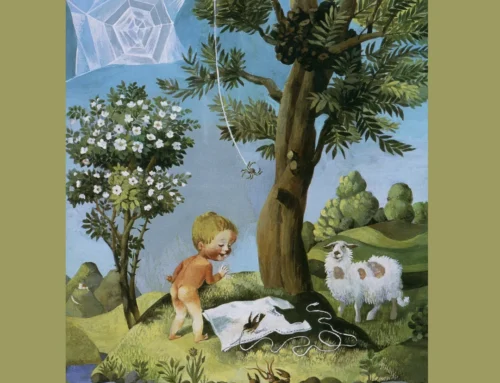 Zlata bera pravljičnih svetov