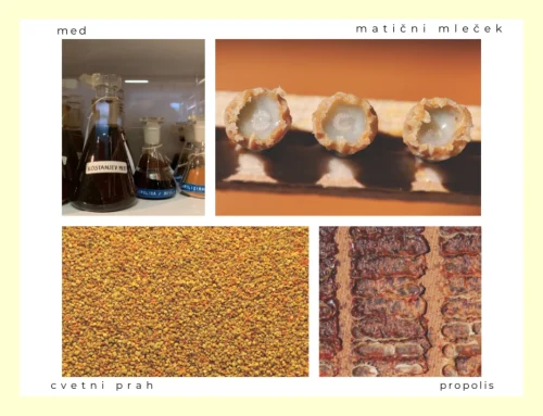 Moč čebeljih pridelkov v našem vsakdanu