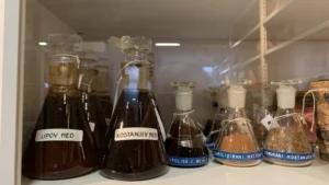 Med